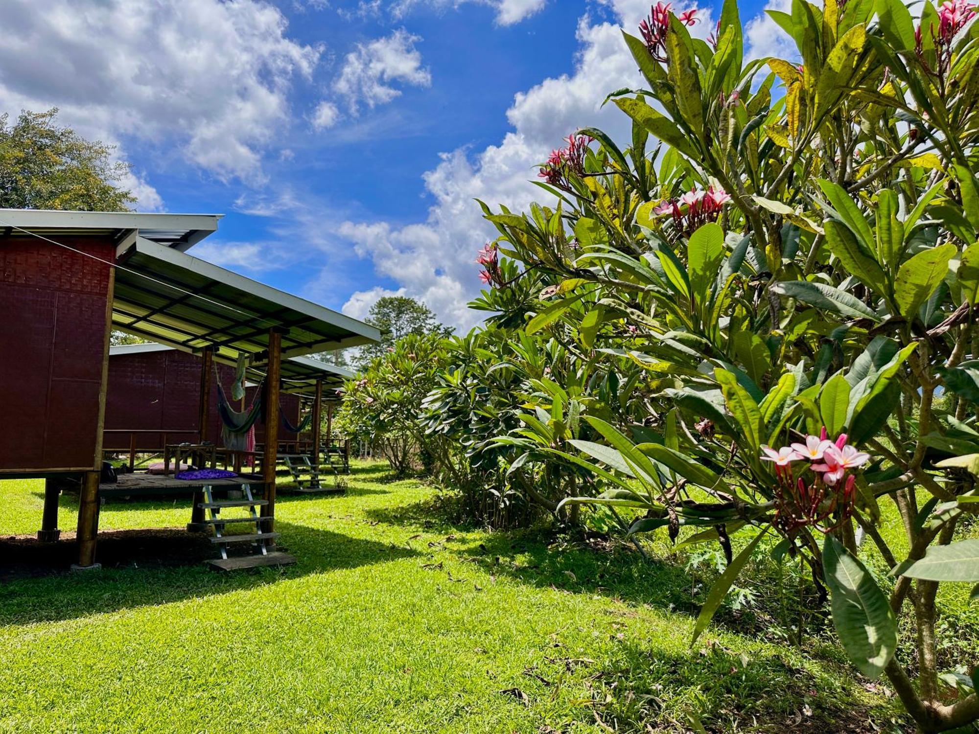 Twin Hut Hotel Pai Exterior photo