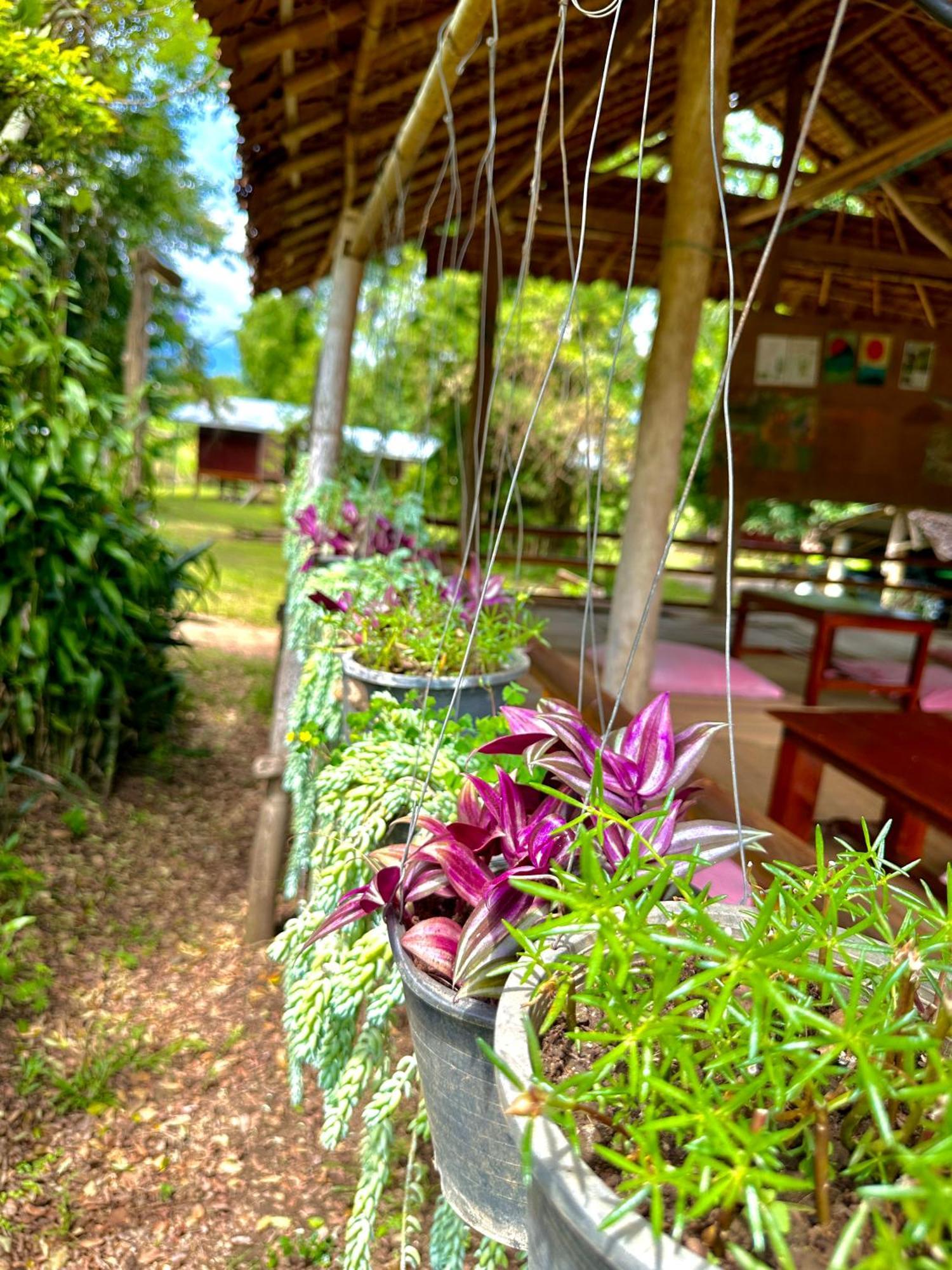 Twin Hut Hotel Pai Exterior photo